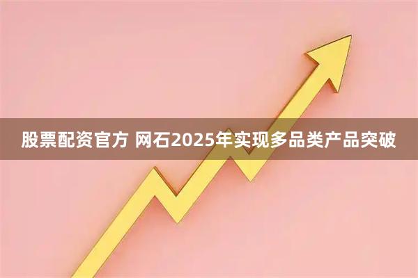 股票配资官方 网石2025年实现多品类产品突破